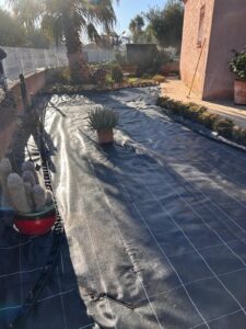 Préparation d'un jardin sec : bâche de paillage noire quadrillée installée, avec un grand palmier, des rochers et des cactus en pot.