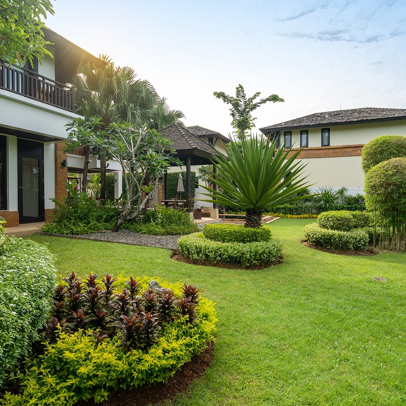 Aménagement paysager : Jardin tropical luxueux avec villa. Aménagement paysager tropical luxueux. Pelouse verte, haies sculptées, plante exotique centrale, kiosque et villa moderne.
